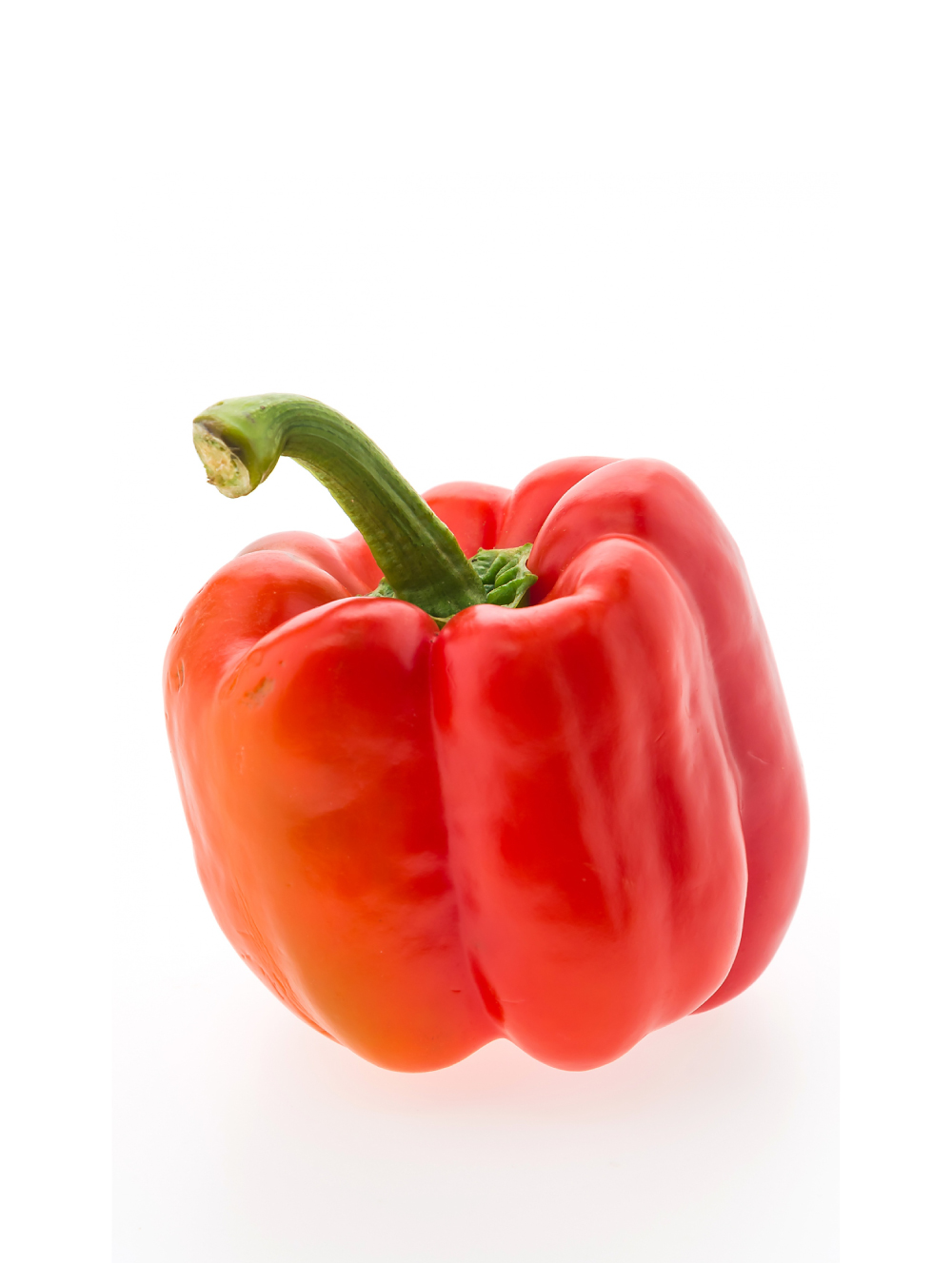 Harva Red F1 - Sweet Pepper